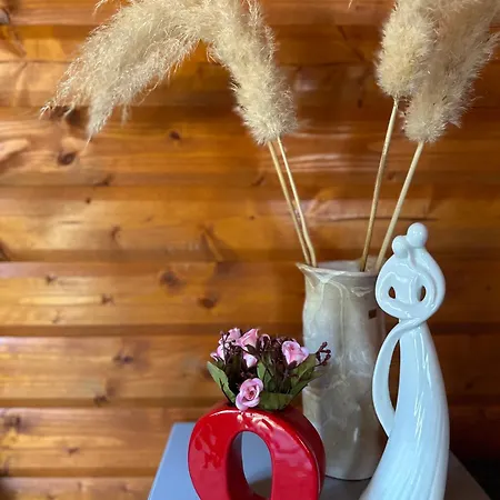 App Anita Apartman